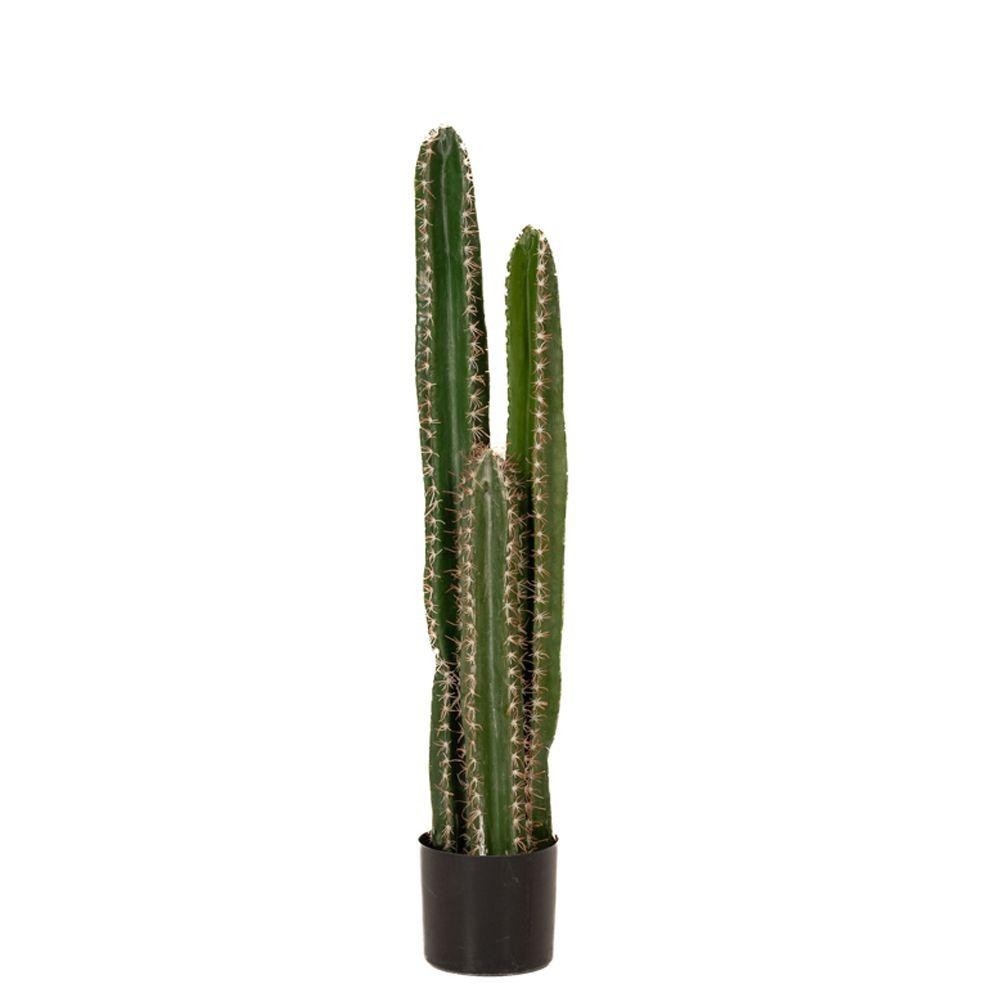 PIANTA DI CACTUS IN VASO 104 CM.